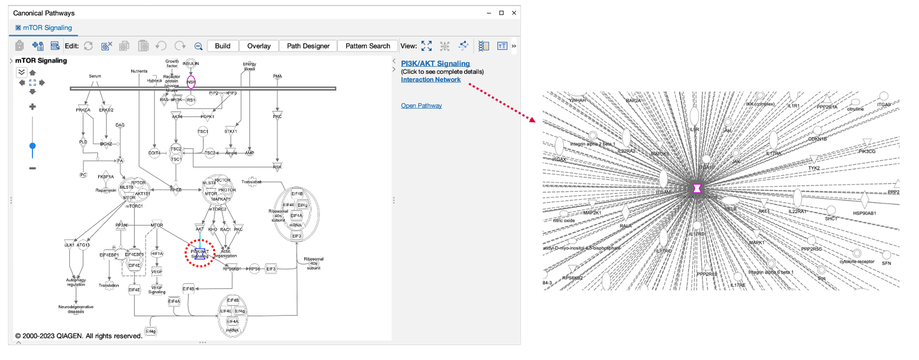 3 reasons you should try AI data curation