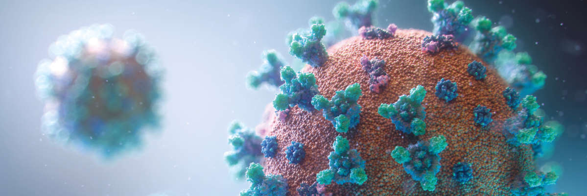 Highlights of the latest update to QIAGEN CLC Microbial Genomics Module 20.1